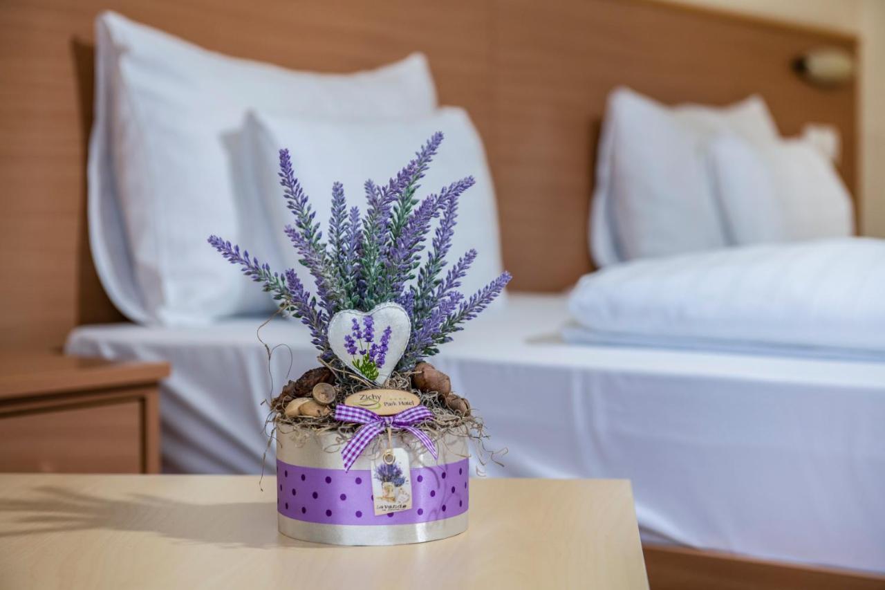 Zichy Park Hotel Bikács 外观 照片